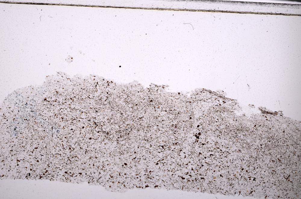 Plane Polarized, E45432