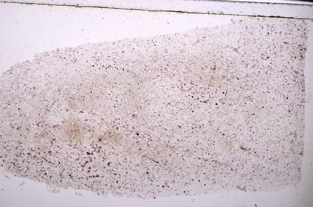 Plane Polarized, E45433