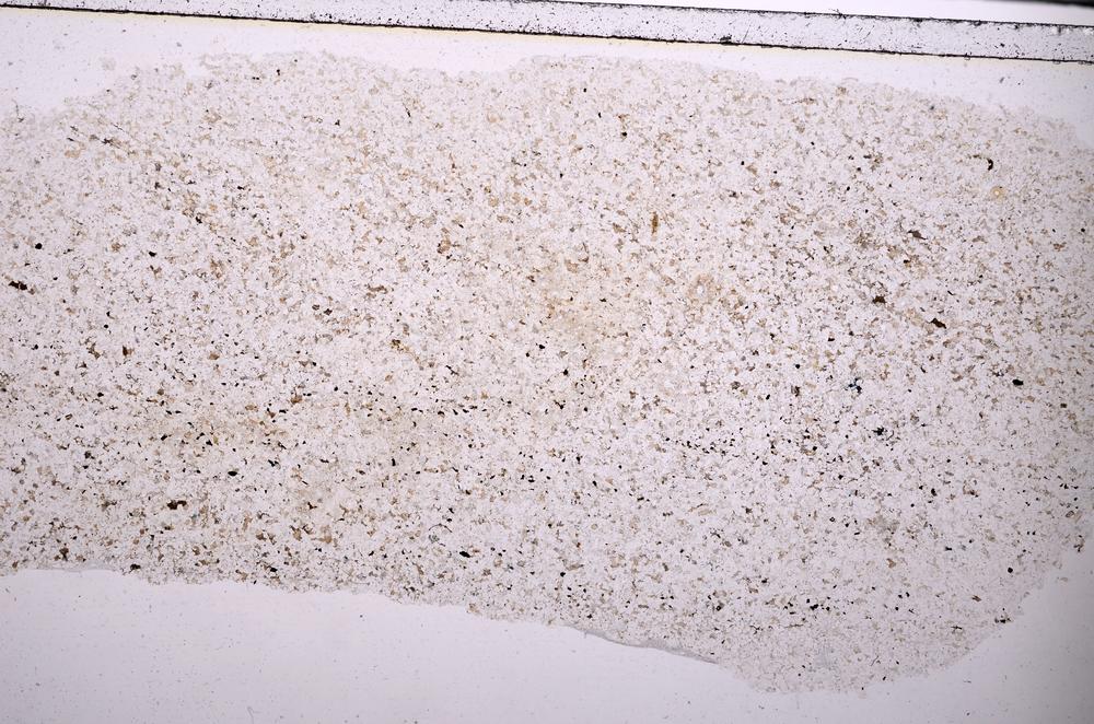 Plane Polarized, E45434