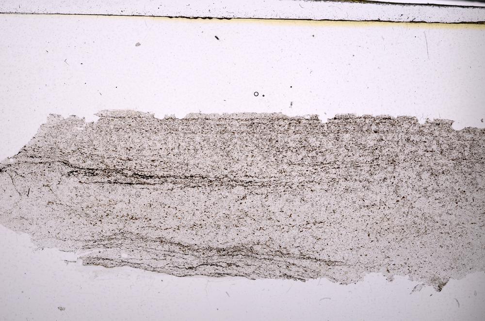 Plane Polarized, E45455