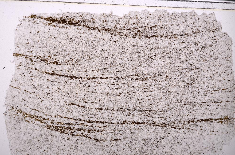 Plane Polarized, E45456