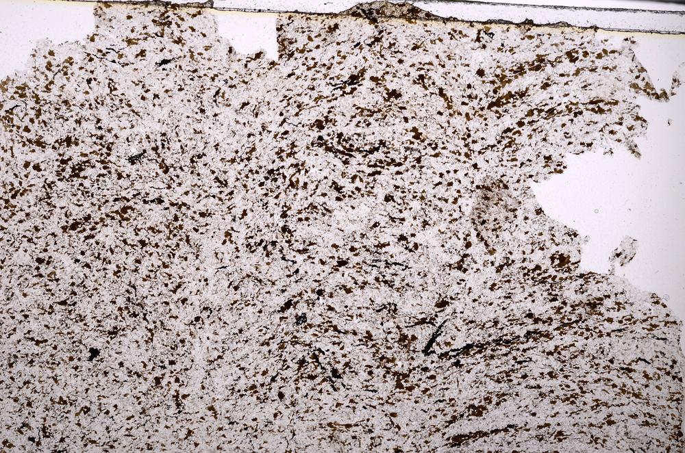 Plane Polarized, E45458