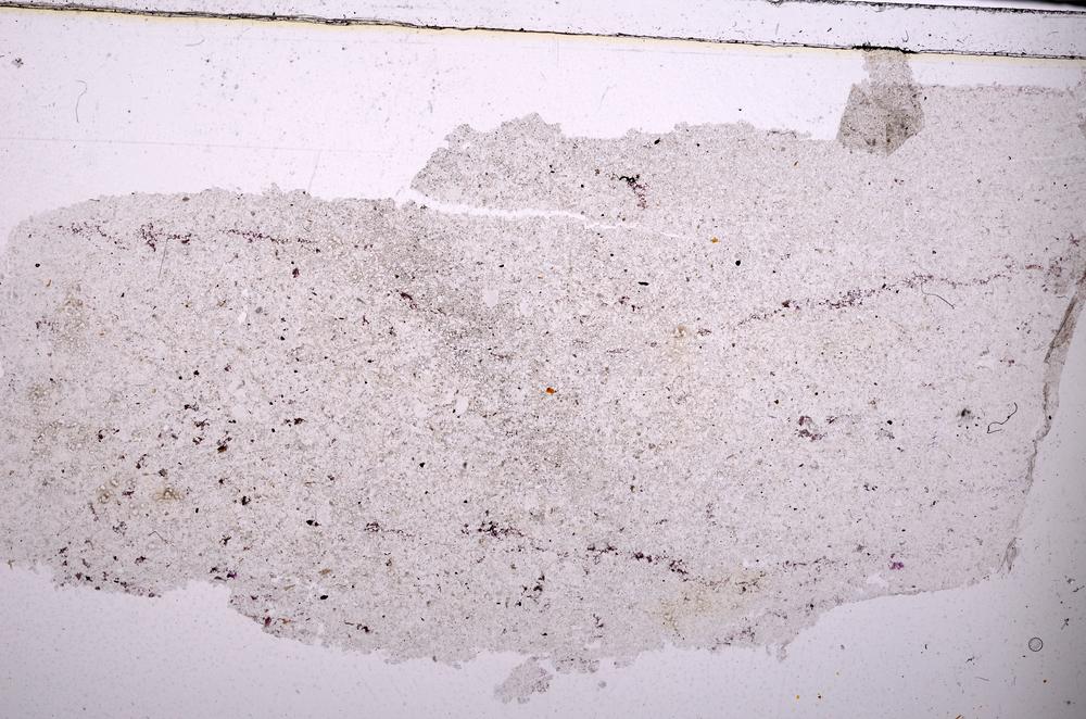 Plane Polarized, E45459