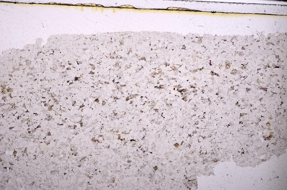 Plane Polarized, E45463