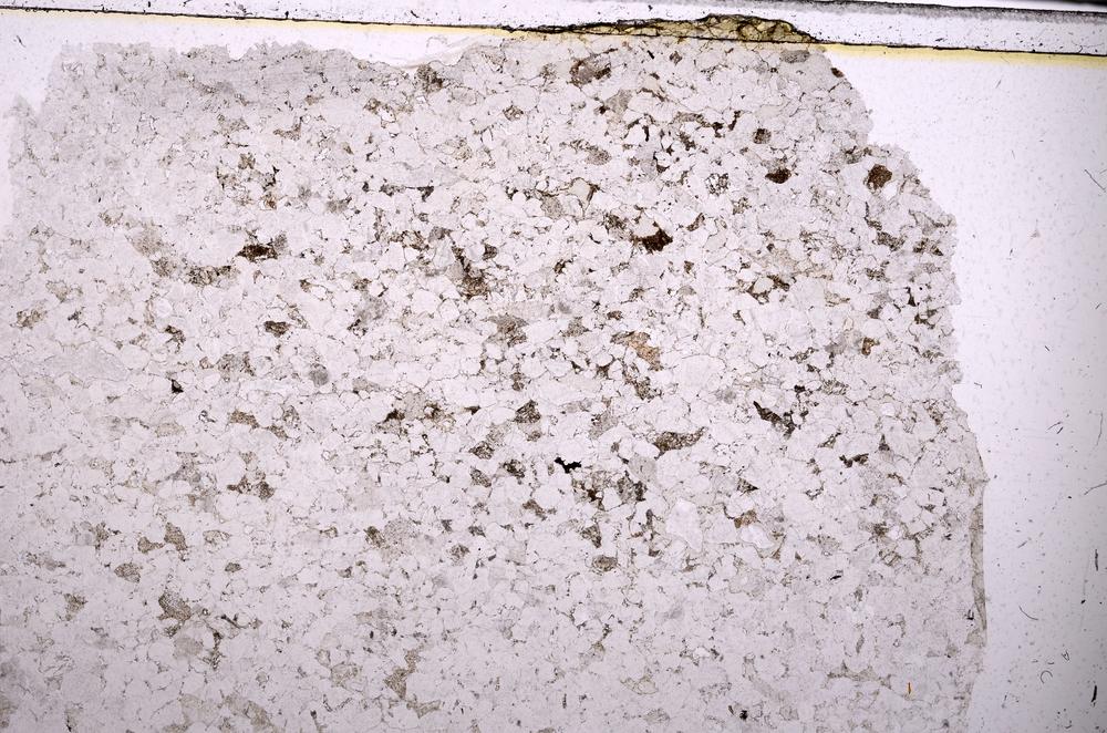 Plane Polarized, E45469