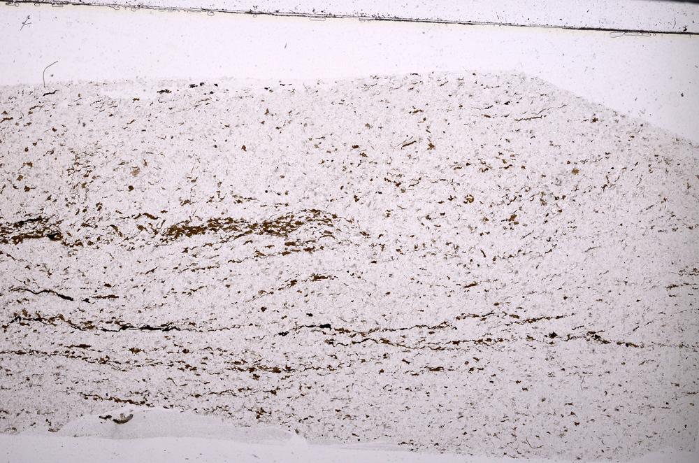 Plane Polarized, E45481