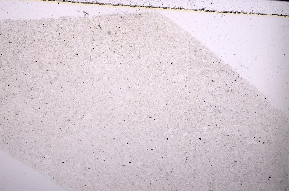 Plane Polarized, E45482