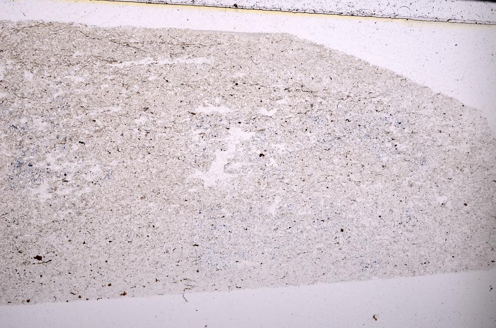 Plane Polarized, E45483