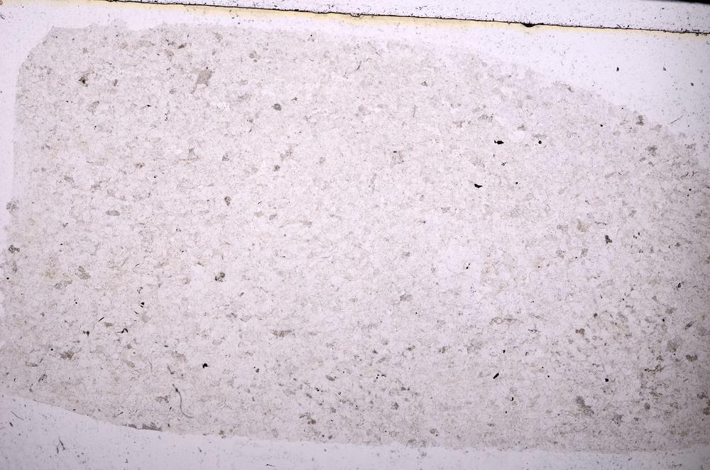 Plane Polarized, E45488