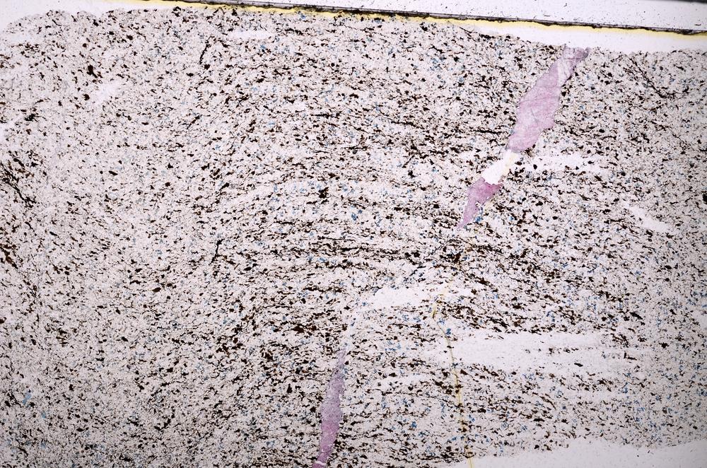 Plane Polarized, E45535