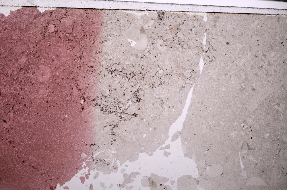 Plane Polarized, E45575