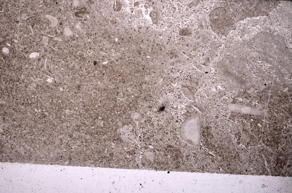 Plane Polarized, E45583