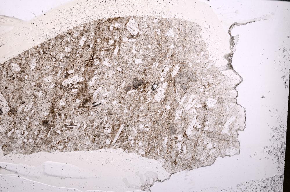 Plane Polarized, E45598/B