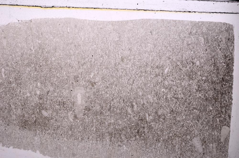 Plane Polarized, E45601