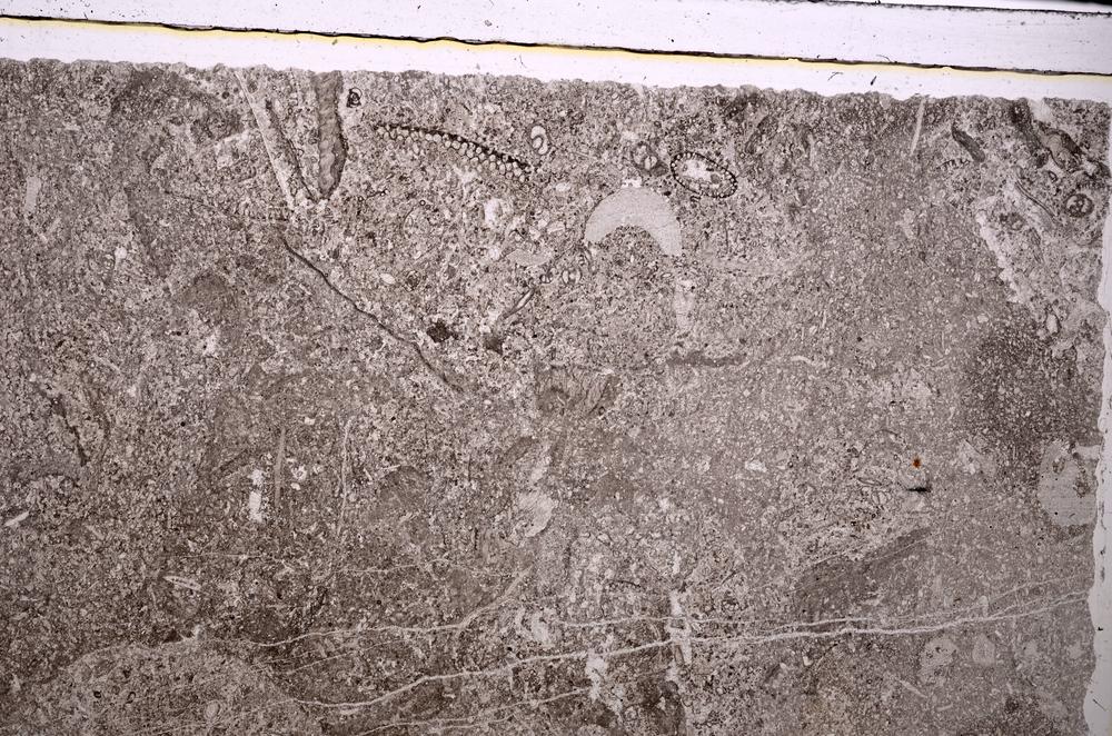 Plane Polarized, E45612