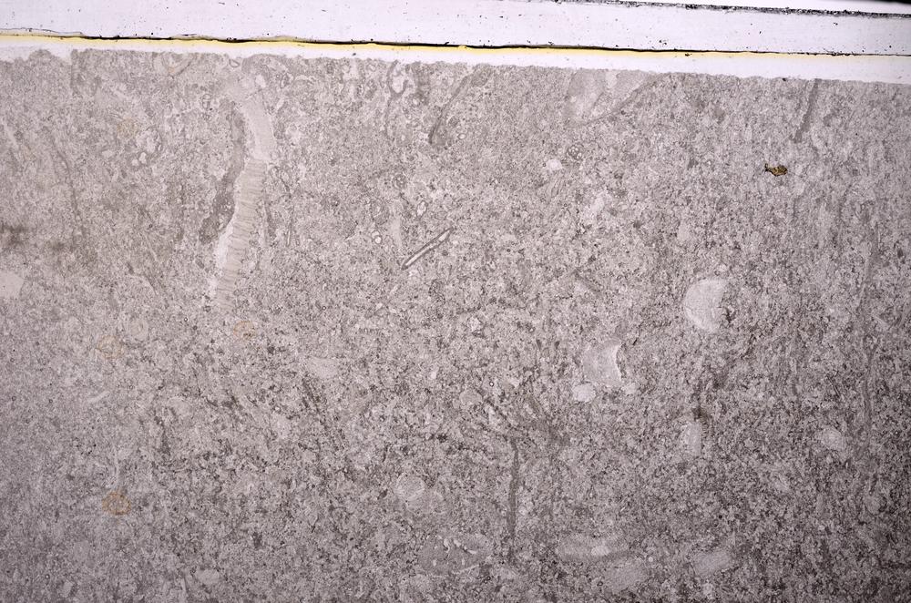 Plane Polarized, E45614