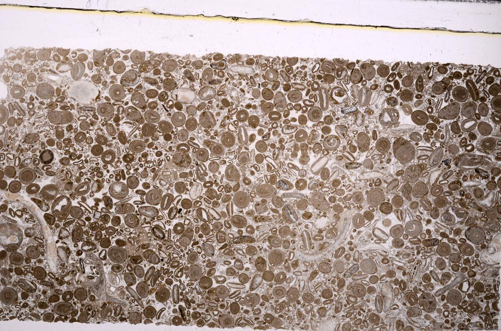 Plane Polarized, E45626