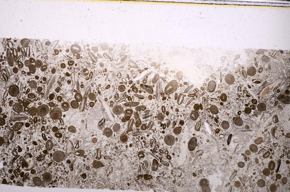 Plane Polarized, E45629