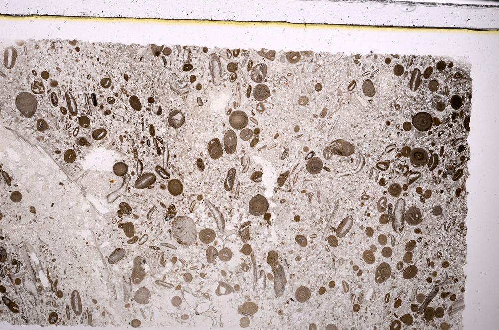 Plane Polarized, E45630