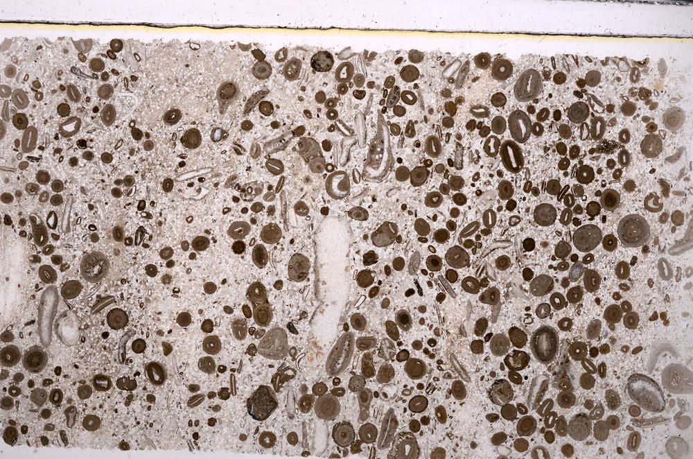 Plane Polarized, E45632