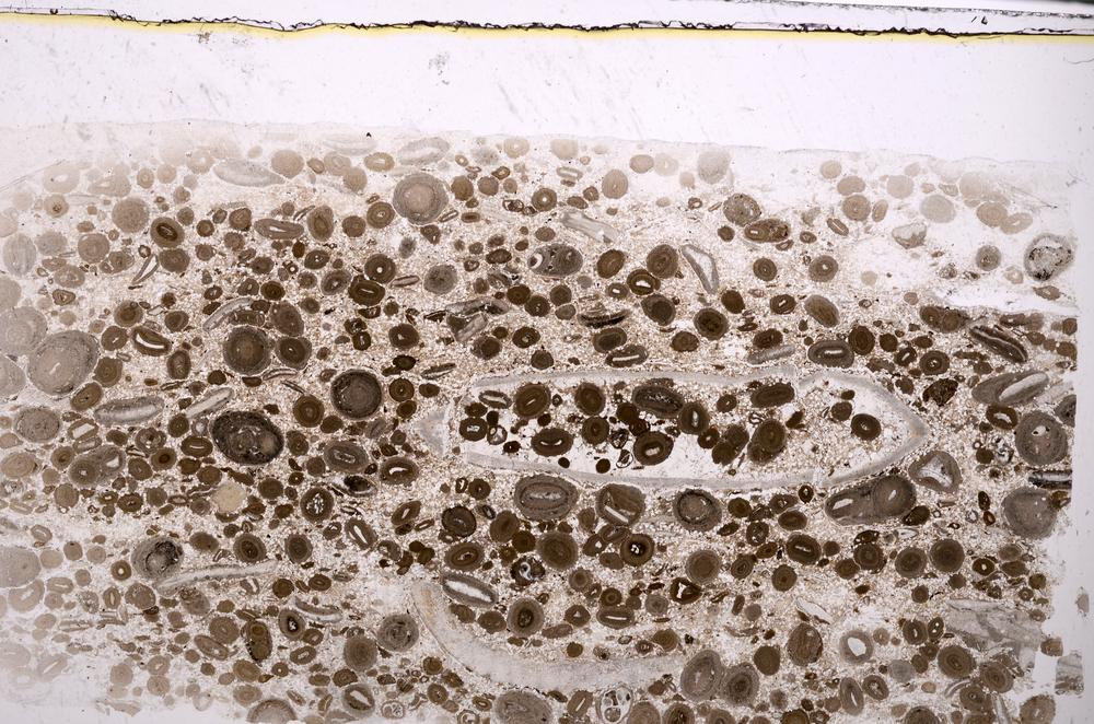 Plane Polarized, E45633