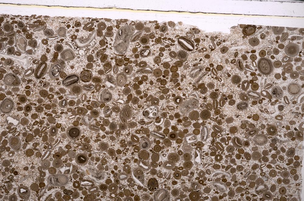 Plane Polarized, E45634