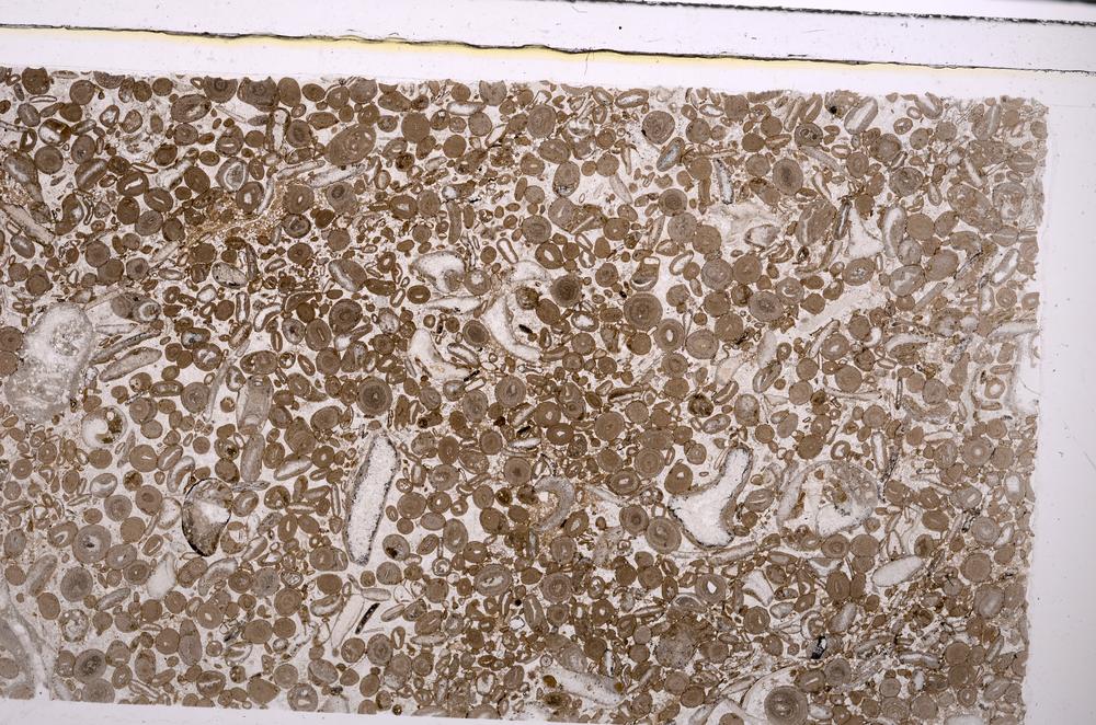 Plane Polarized, E45636