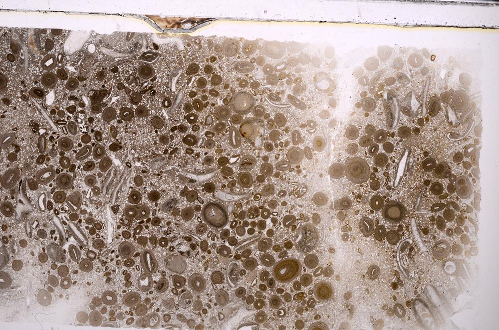 Plane Polarized, E45637