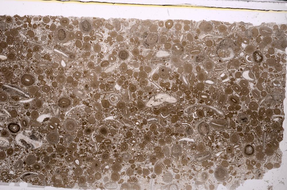 Plane Polarized, E45639