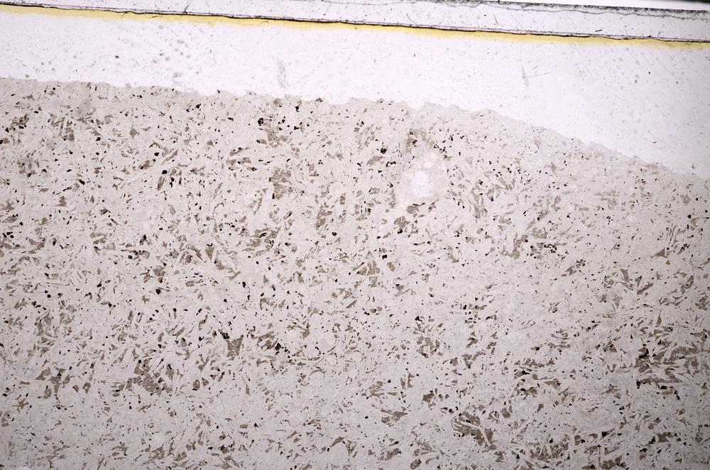 Plane Polarized, E45857