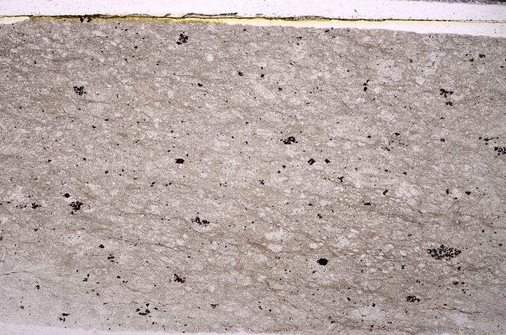 Plane Polarized, E45885