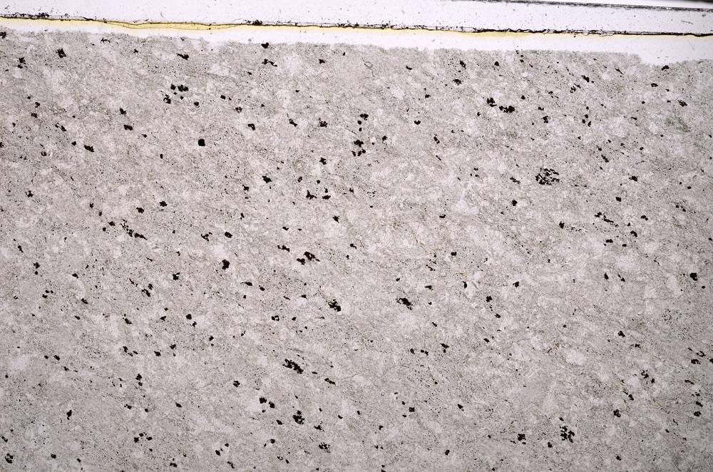 Plane Polarized, E45887