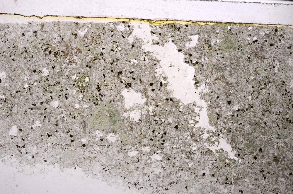 Plane Polarized, E45890