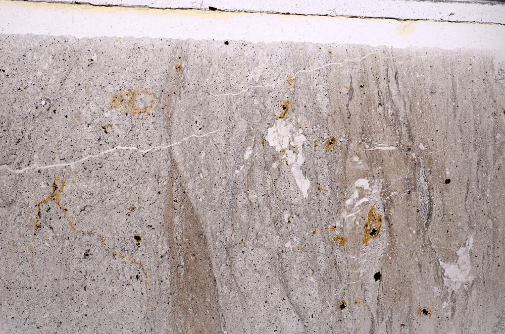 Plane Polarized, E45898