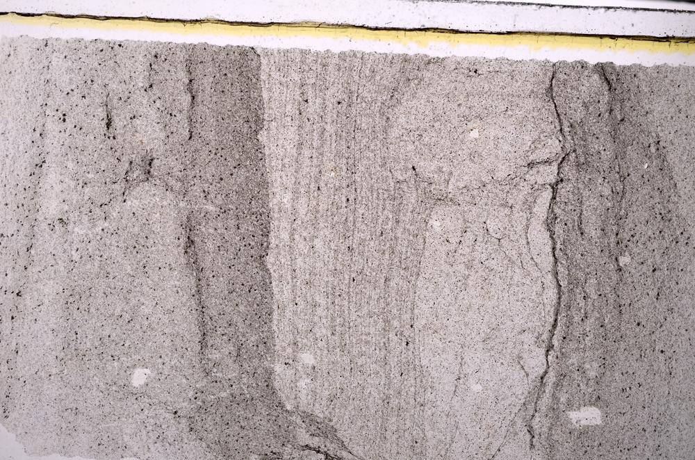 Plane Polarized, E45902