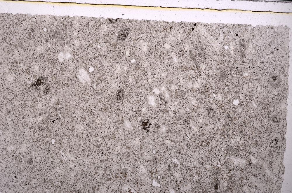 Plane Polarized, E45904