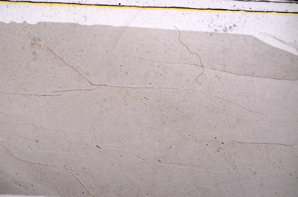 Plane Polarized, E45907