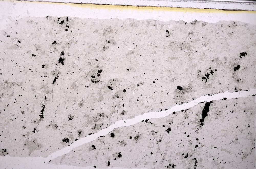 Plane Polarized, E45908
