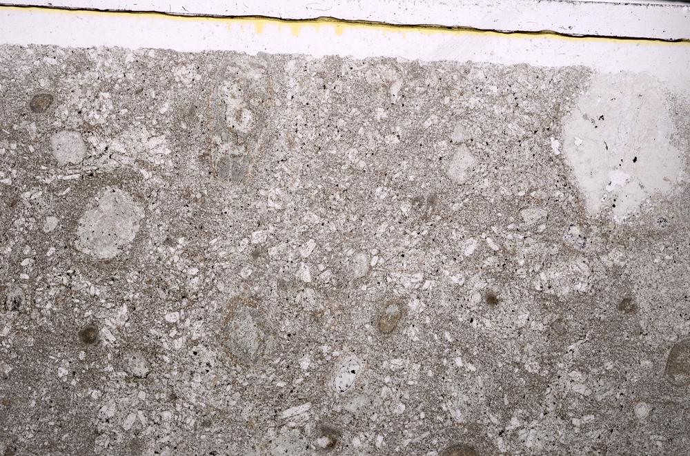 Plane Polarized, E45911