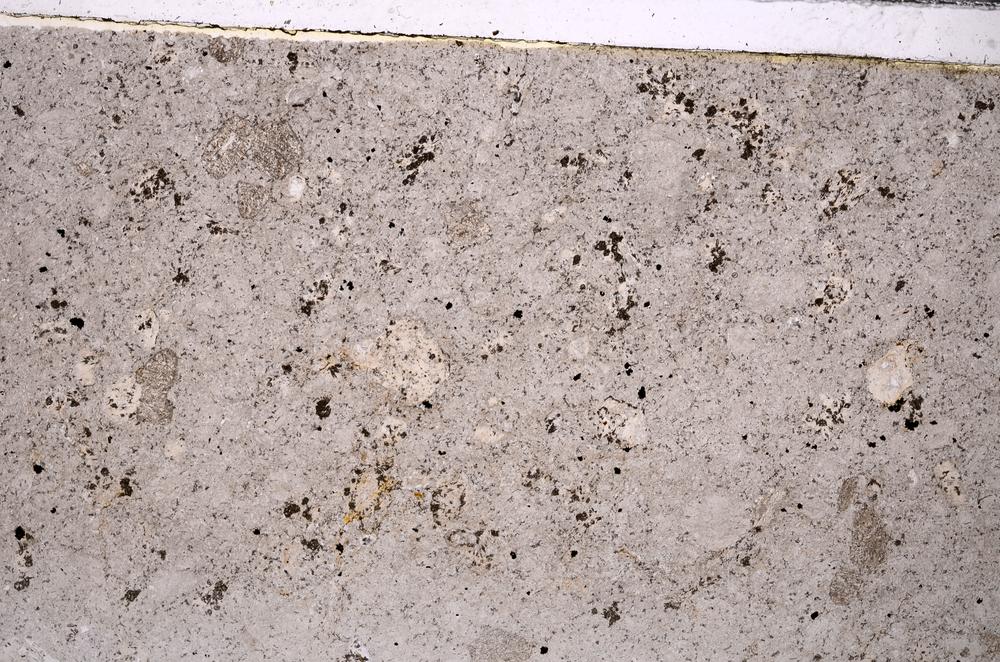 Plane Polarized, E45915