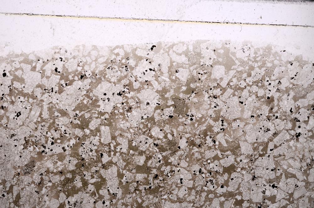 Plane Polarized, E45916