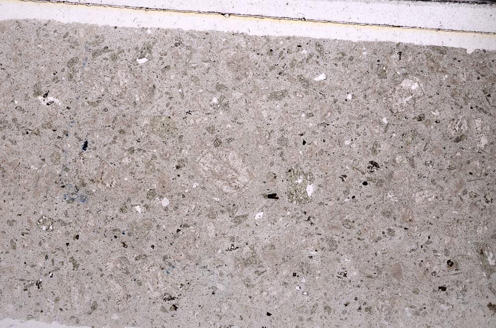 Plane Polarized, E45919