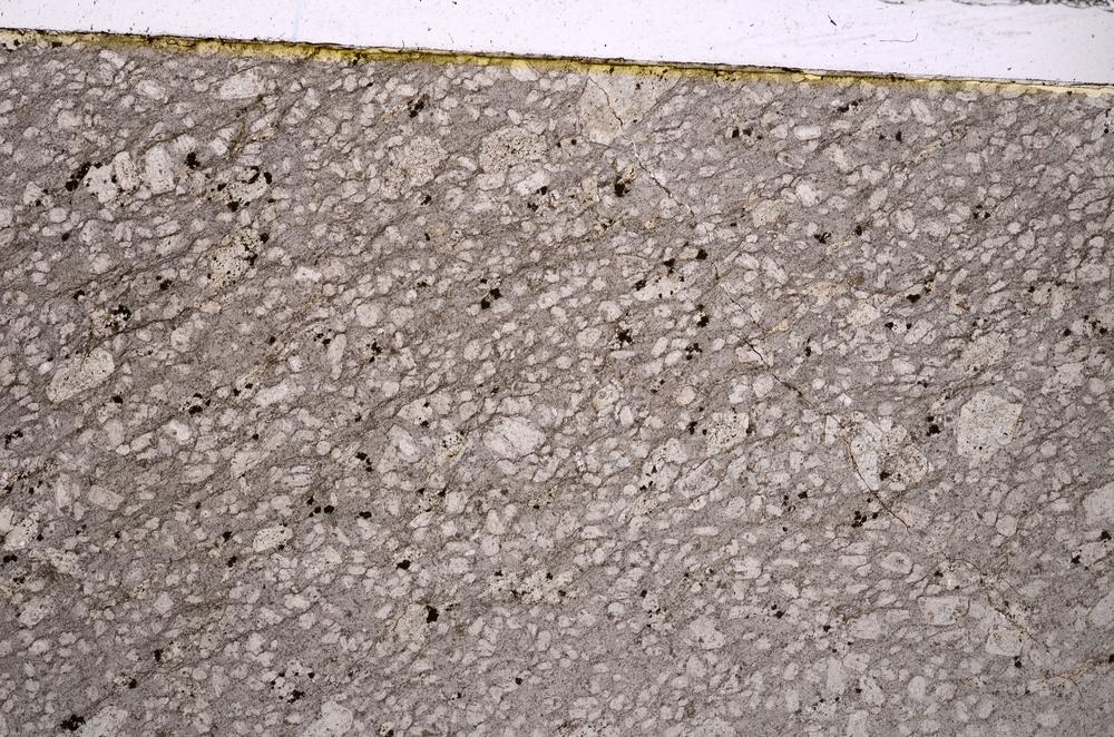 Plane Polarized, E45920/B