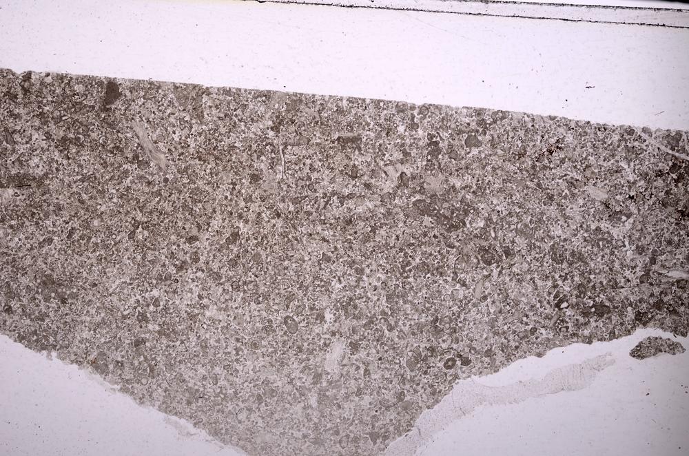 Plane Polarized, E45924