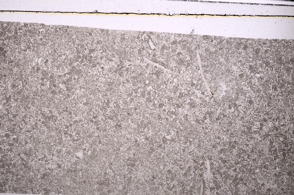 Plane Polarized, E45926