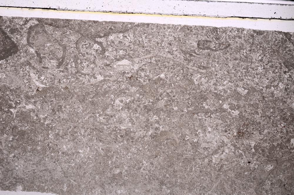 Plane Polarized, E45929