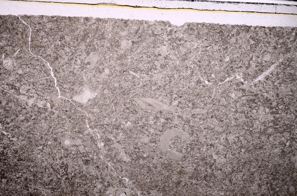 Plane Polarized, E45931