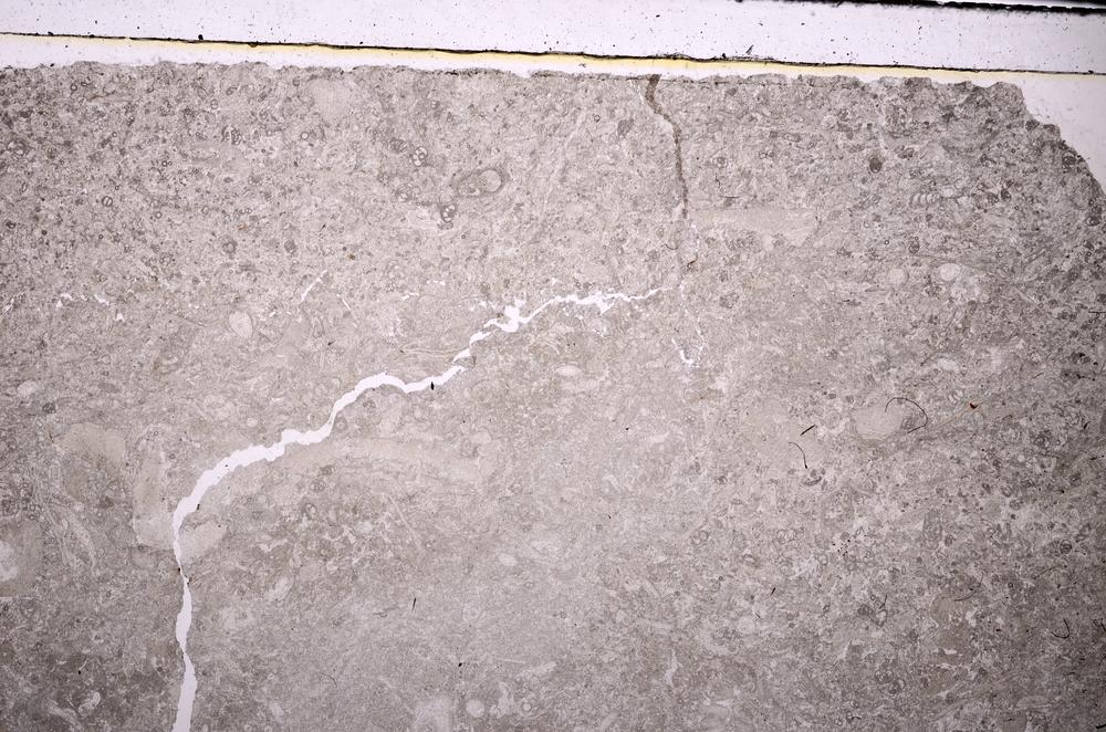 Plane Polarized, E45934