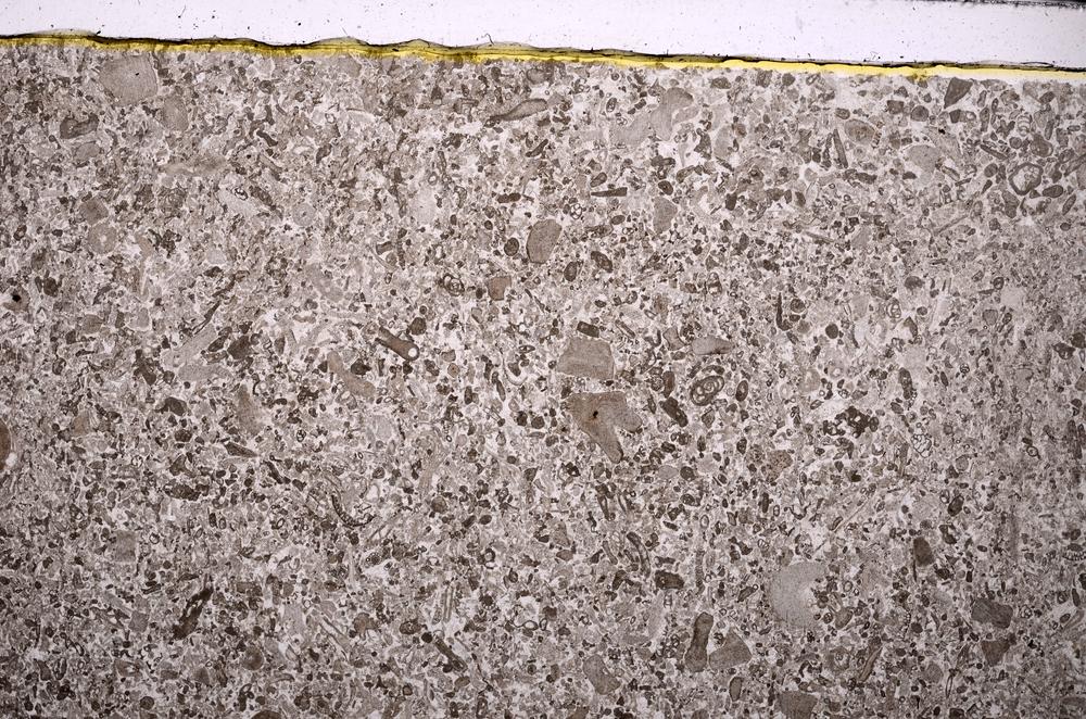 Plane Polarized, E45937