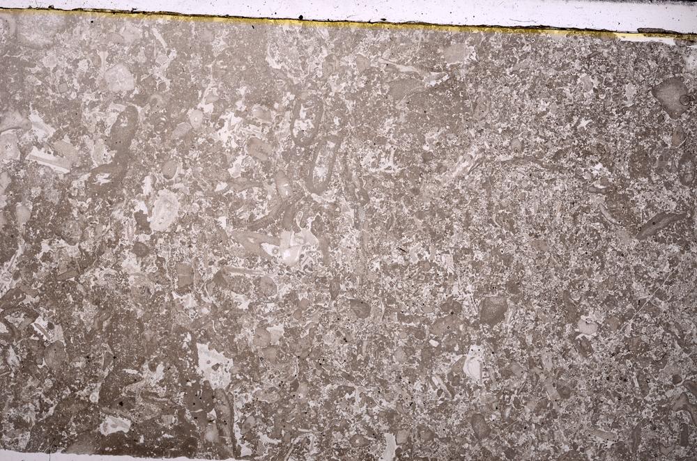 Plane Polarized, E45939